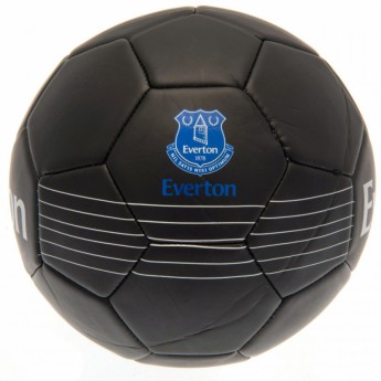 FC Everton fotbalový míč Skill Ball RT - size 5