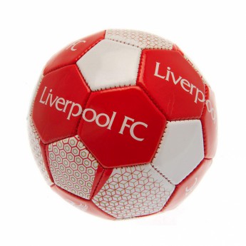 FC Liverpool fotbalový mini míč Skill Ball VT - size 1