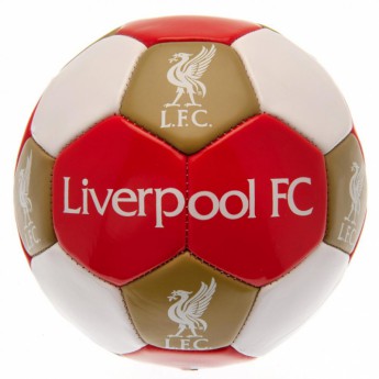 FC Liverpool fotbalový set water bottle - hand pump - size 3 ball