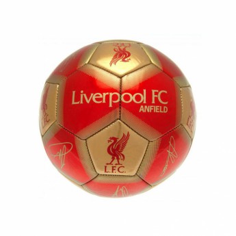 FC Liverpool fotbalový mini míč Skill Ball Signature - size 1