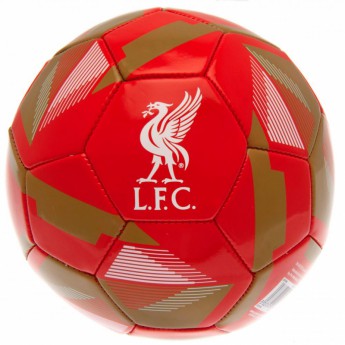 FC Liverpool fotbalový míč Football RX - size 5