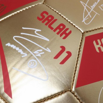 FC Liverpool fotbalový míč Premier League Champions Gold Signature Football - Size 5