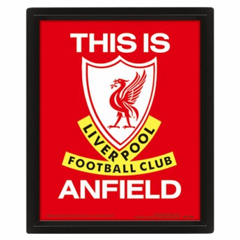 FC Liverpool obrázek v rámečku 3D Picture