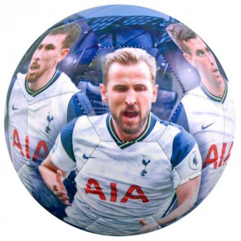 Tottenham Hotspur fotbalový míč players photo football