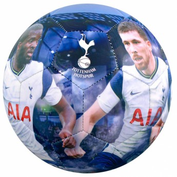 Tottenham Hotspur fotbalový míč players photo football