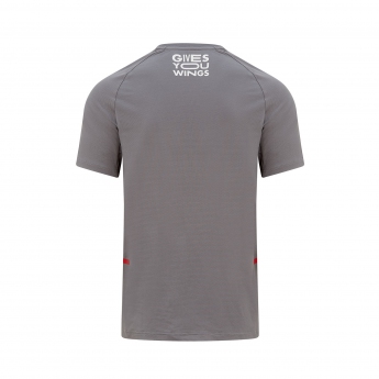 Red Bull Racing pánské tričko Tech grey T-shirt F1 Team 2022