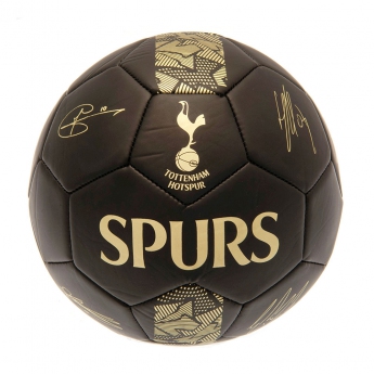 Tottenham Hotspur fotbalový mini míč Skill Ball Signature Gold PH size 1