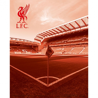 FC Liverpool 3D obrázek 3D Print