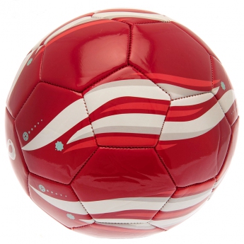 Fotbalové reprezentace fotbalový míč 2022 Phoenix Football size 5