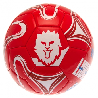 Fotbalové reprezentace fotbalový míč Lionesses Football size 5