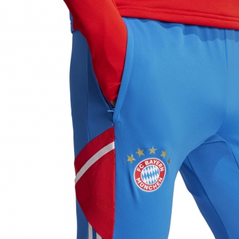Bayern Mnichov pánské kalhoty Training royal