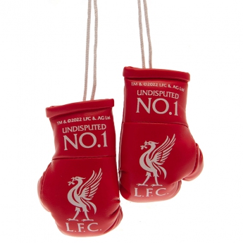 FC Liverpool mini boxerské rukavice Mini Boxing Gloves RD