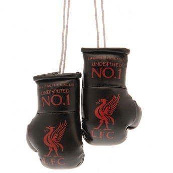 FC Liverpool mini boxerské rukavice Mini Boxing Gloves BK