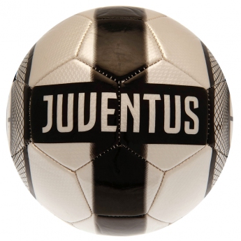 Juventus Turín fotbalový míč Football PR - Size 5