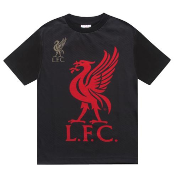 FC Liverpool dětské pyžamo SLab short colour 6