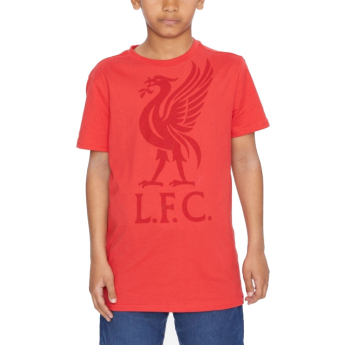 FC Liverpool dětské tričko liverbird red