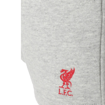 FC Liverpool dětské kraťasy grey