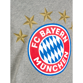 Bayern Mnichov pánské tričko 5 stars grey