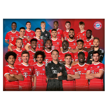 Bayern Mnichov puzzle team 1000 pcs