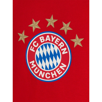Bayern Mnichov dětská mikina s kapucí Logo red