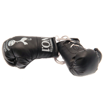Tottenham Hotspur mini boxerské rukavice No.1 text