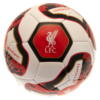 FC Liverpool fotbalový míč Football TR - Size 5