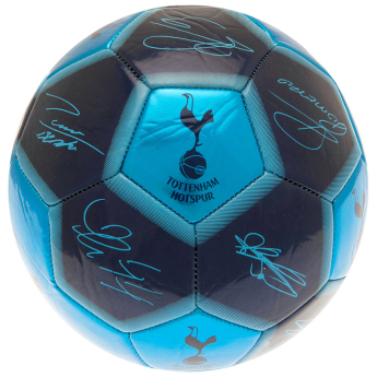 Tottenham Hotspur fotbalový míč Sig 26 Football - Size 5