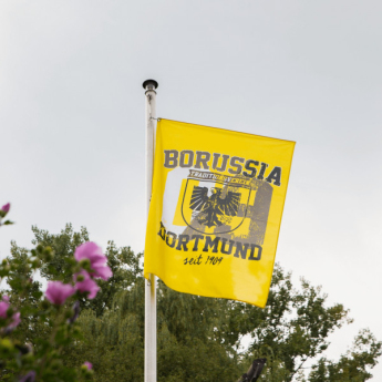 Borussia Dortmund vlajka stadt logo
