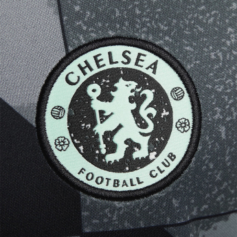 FC Chelsea fotbalový dres Pre-Match grey