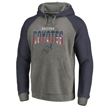 Arizona Coyotes pánská mikina s kapucí grey Freedom Tri-Blend Raglan