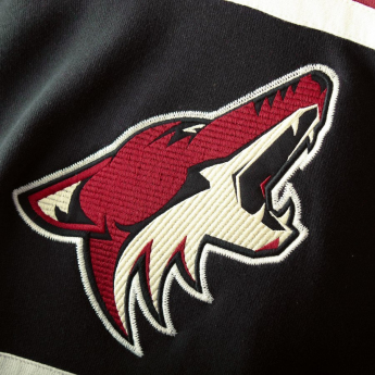 Arizona Coyotes dětská mikina s kapucí Asset Lace-Up Pullover Hoodie