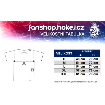 Hokejové reprezentace pánské tričko navy Czech Ice Hockey logo lion