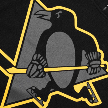 Pittsburgh Penguins pánská mikina s kapucí Imprint Helix Pullover Hood dark