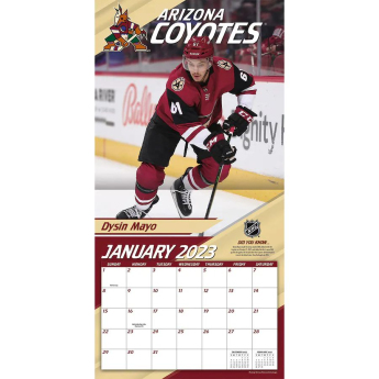 Arizona Coyotes kalendář 2023 Wall Calendar