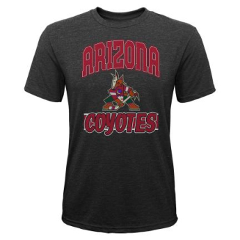 Arizona Coyotes dětské tričko All Time Great Triblend black