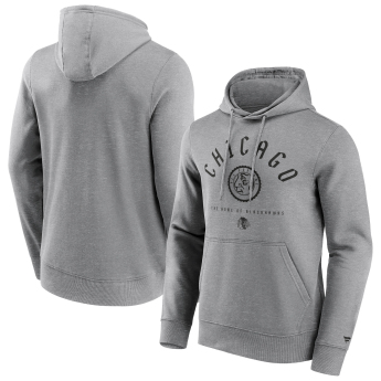 Chicago Blackhawks pánská mikina s kapucí College Stamp Hoodie grey