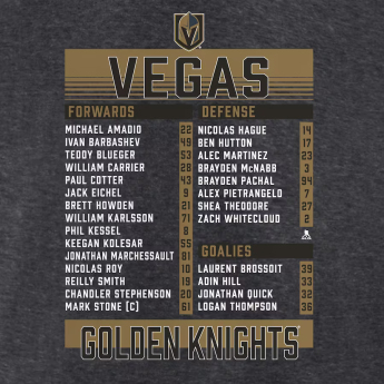 Vegas Golden Knights pánské tričko 2023 Stanley Cup Champions Roster Heather Charcoal