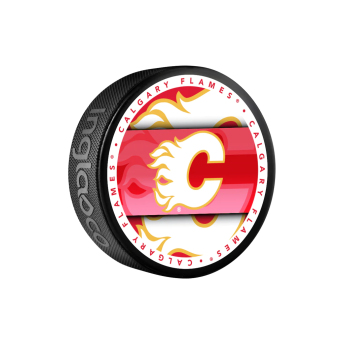 Calgary Flames puk Medallion Souvenir Collector