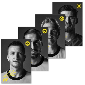 Borussia Dortmund karty hráčů 33 cards with autographs 2023/24
