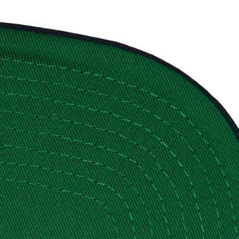 Hartford Whalers čepice flat kšiltovka Retro Sport Snapback Vintage