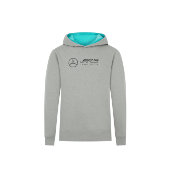 Mercedes AMG Petronas dětská mikina s kapucí Hoody Large Logo grey F1 Team 2024