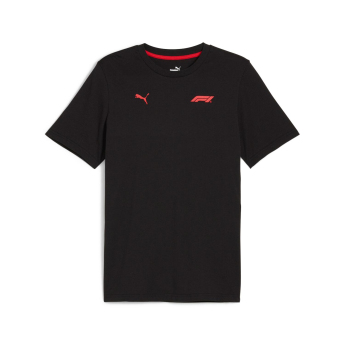 Formule 1 pánské tričko Small Logo black 2024