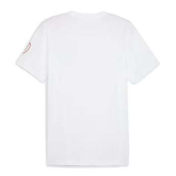 Fotbalové reprezentace pánské tričko Czech republic Ftblicons Tee white