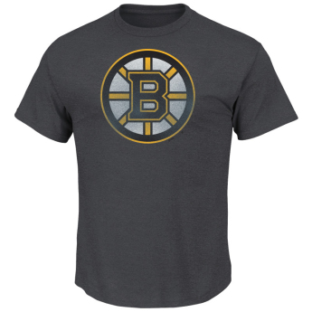 Boston Bruins pánské tričko Pigment Dyed grey