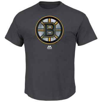 Boston Bruins pánské tričko Raise the Level grey