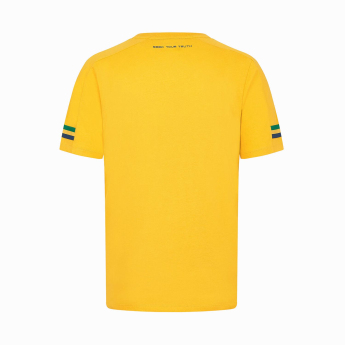 Ayrton Senna pánské tričko Stripe yellow 2024