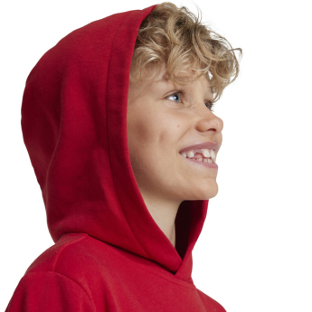 Bayern Mnichov dětská mikina s kapucí Hoody red