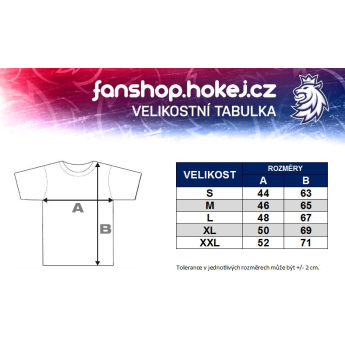 Hokejové reprezentace dámské tričko grey Czech Ice Hockey logo lion