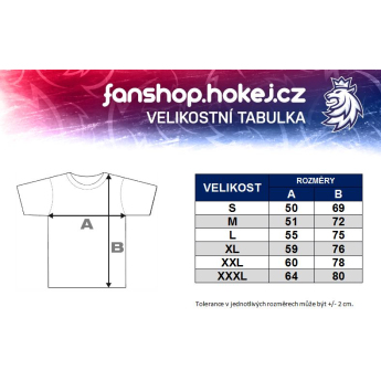 Hokejové reprezentace pánské tričko grey Czech Ice Hockey logo EST 1908