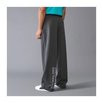 Mercedes AMG Petronas pánské kalhoty Relaxed Fit grey F1 Team 2024